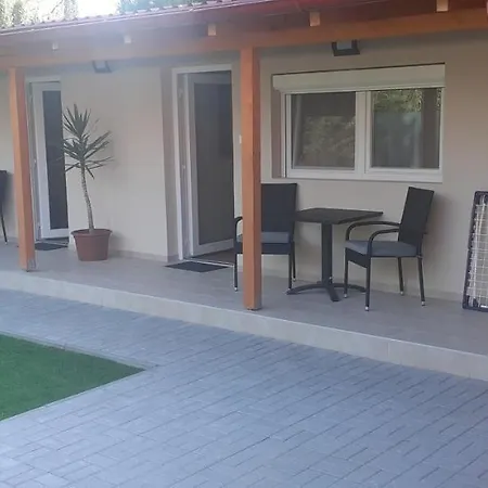 Borti زاماردي